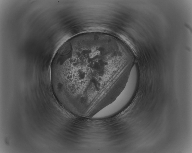 X0000091701275200709210915