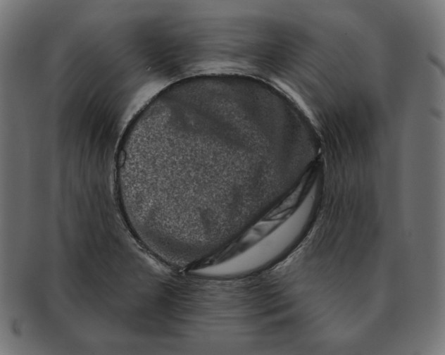 X0000091701277200709210915