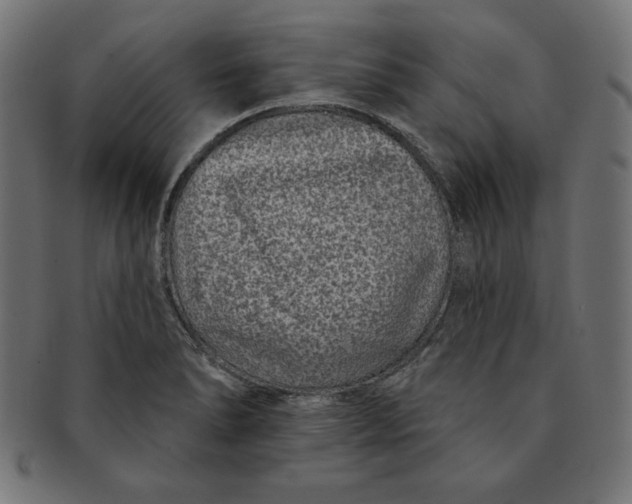 X0000091701278200709210914