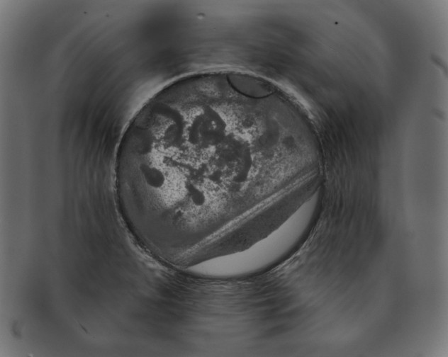 X0000091701279200709210914