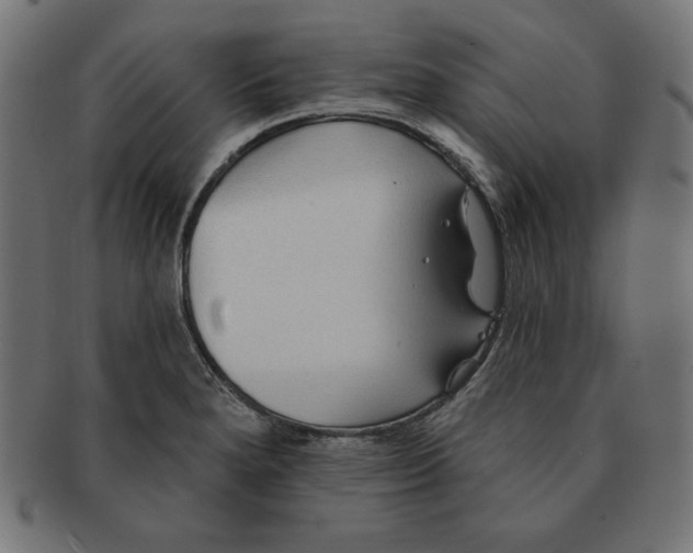 X0000091701280200709210914