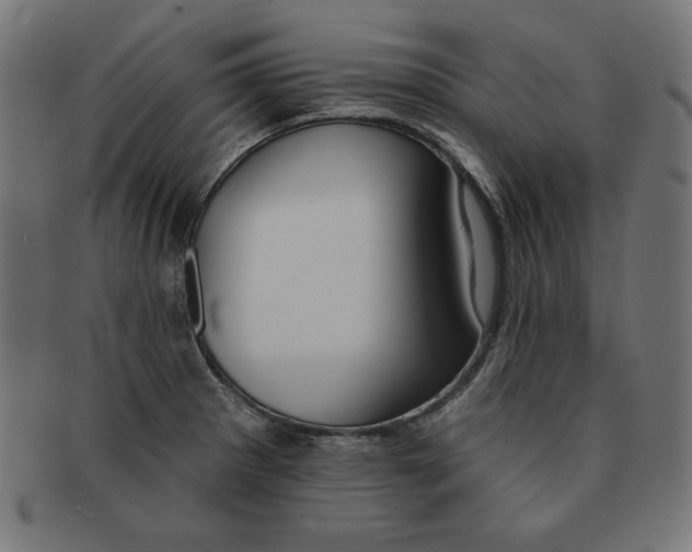 X0000091701281200709210914