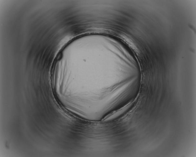 X0000091701283200709210914