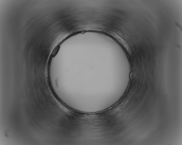 X0000091701285200709210914