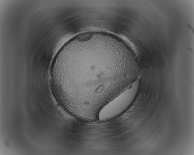 X0000091701287200709210914