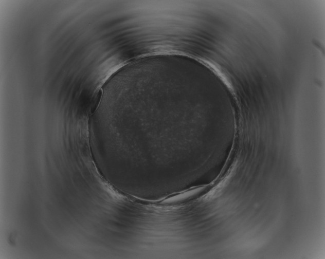 X0000091701289200709210914