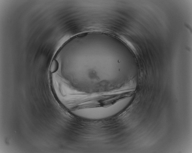 X0000091701291200709210914