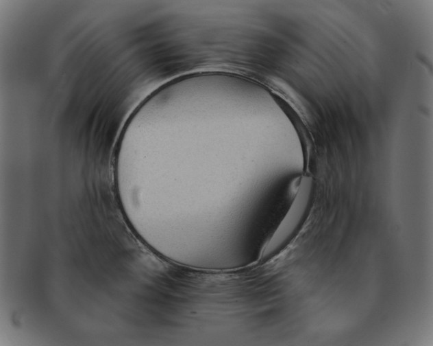 X0000091701292200709210914