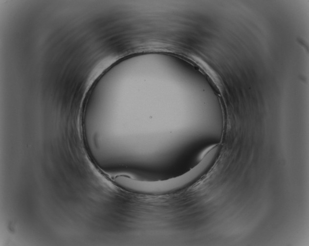 X0000091701293200709210914