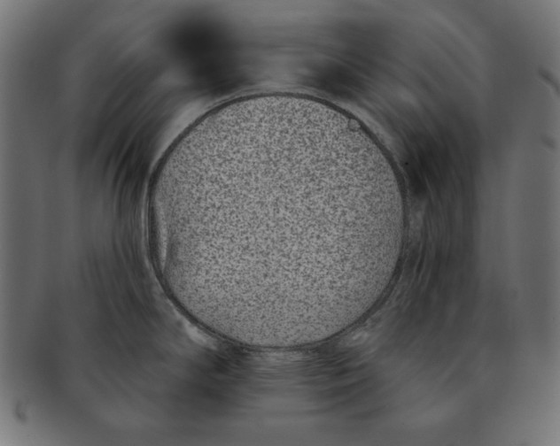 X0000091701294200709210914