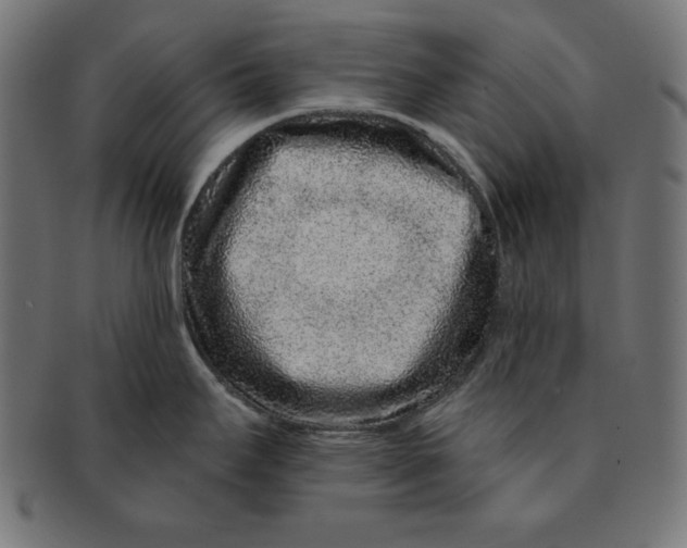 X0000091701295200709210914