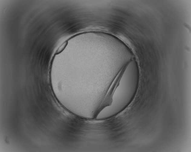 X0000091701296200709210914