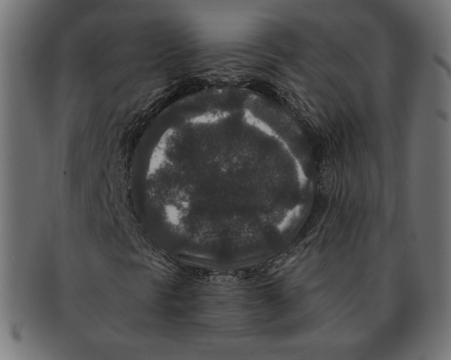 X0000091701297200709210914