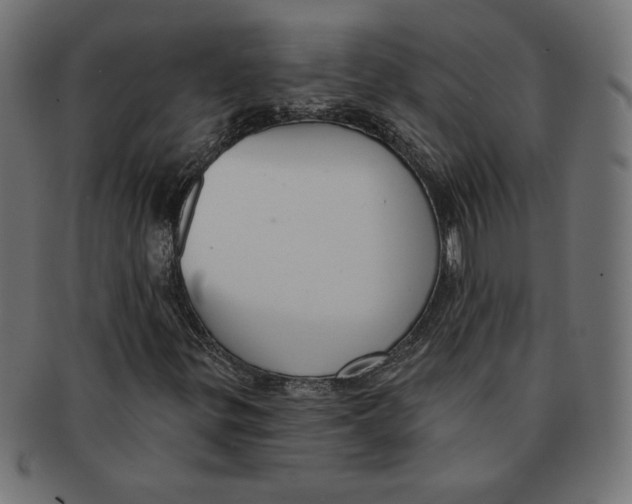 X0000091701299200709210914