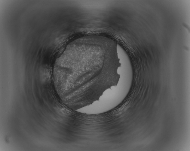 X0000091701300200709210914