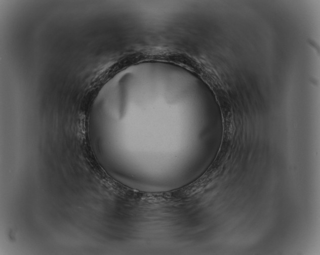 X0000091701301200709210914