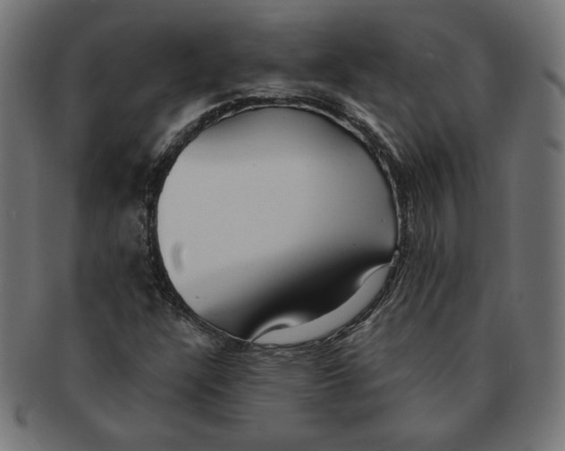 X0000091701304200709210914