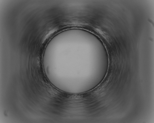 X0000091701307200709210914