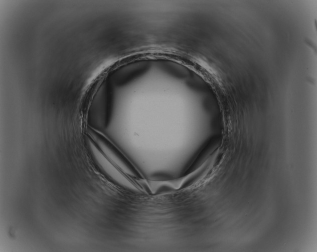 X0000091701310200709210914