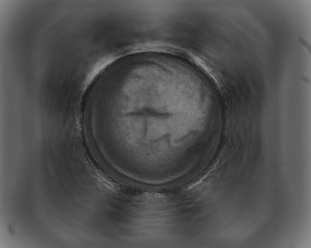 X0000091701312200709210914