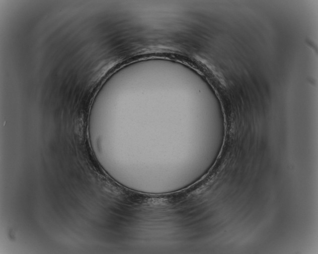 X0000091701313200709210914