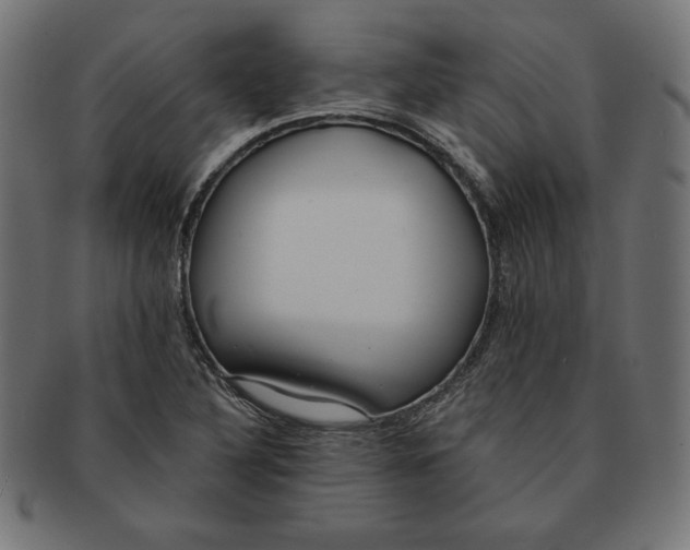 X0000091701316200709210914