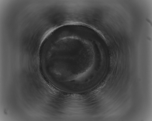 X0000091701319200709210914