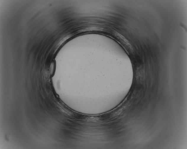 X0000091701321200709210914