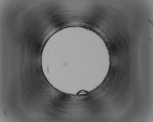 X0000091701322200709210914