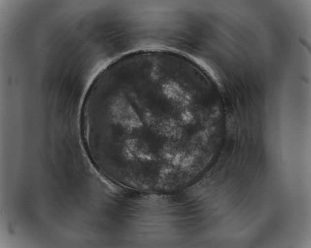 X0000091701327200709210914