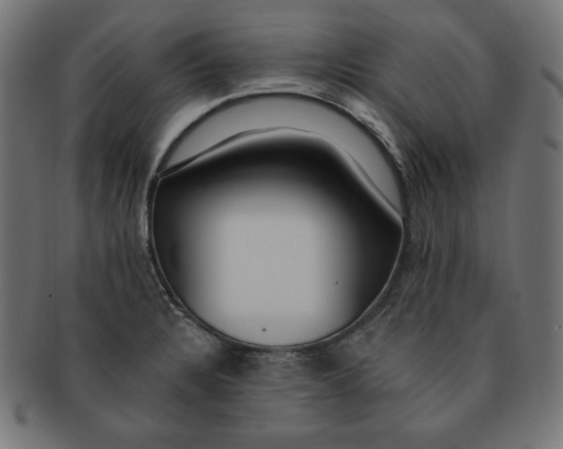 X0000091701328200709210914