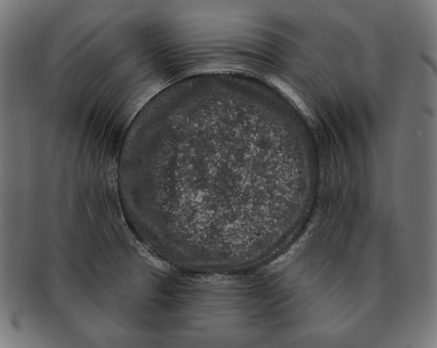 X0000091701329200709210914