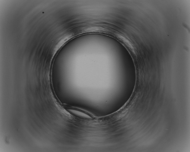 X0000091701330200709210914