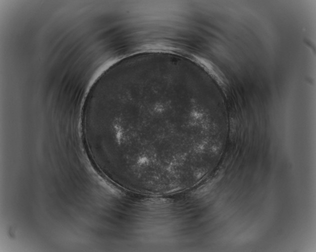 X0000091701331200709210914