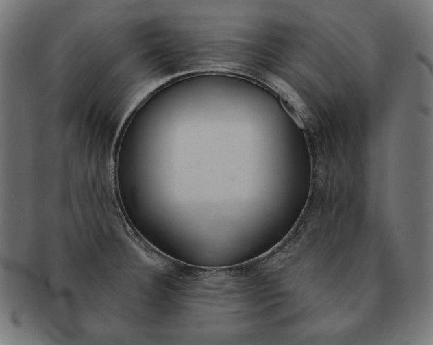 X0000091701332200709210914