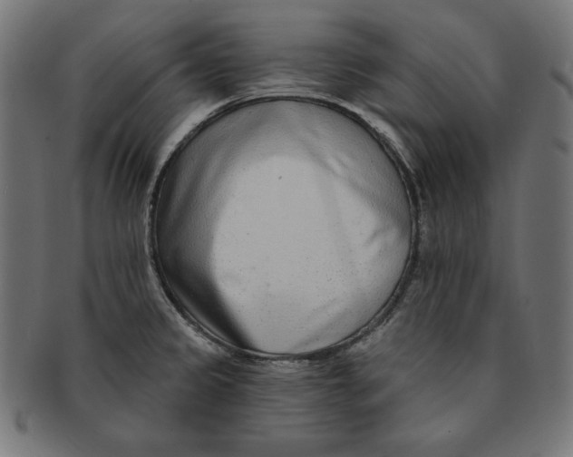 X0000091701333200709210914