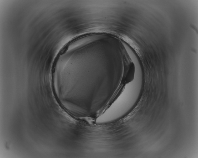 X0000091701334200709210914