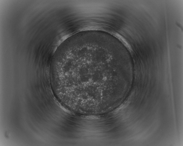 X0000091701337200709210914