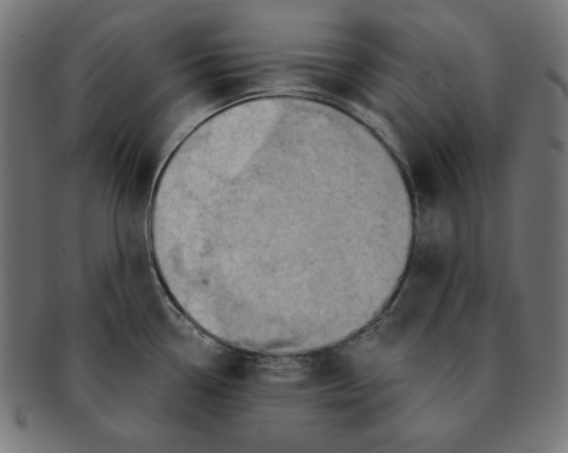 X0000091701338200709210914