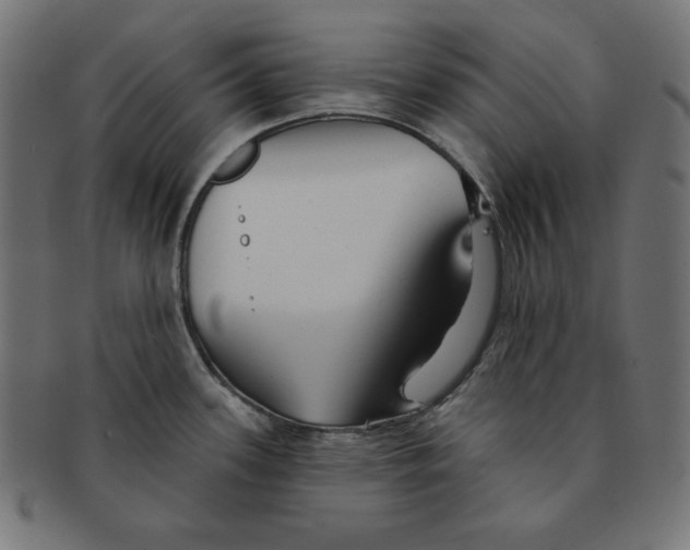 X0000091701339200709210914