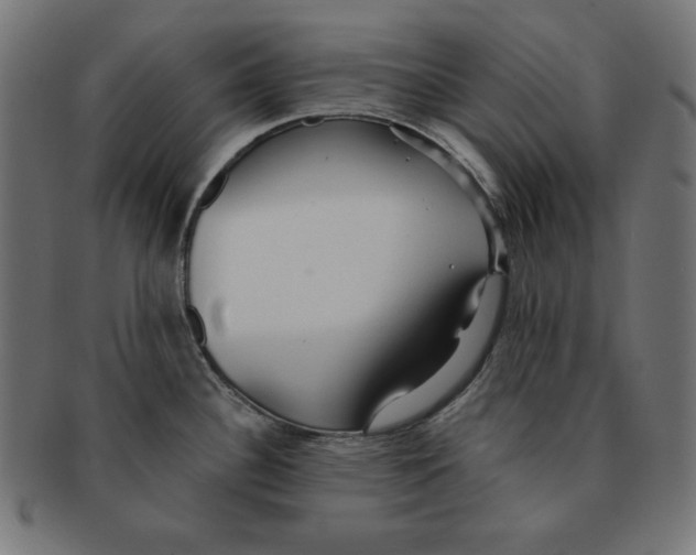 X0000091701340200709210914