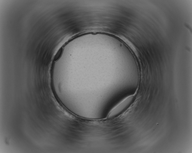 X0000091701341200709210914