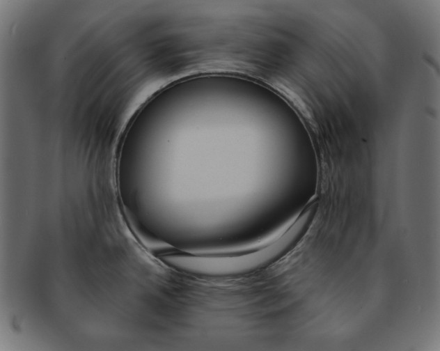 X0000091701342200709210914