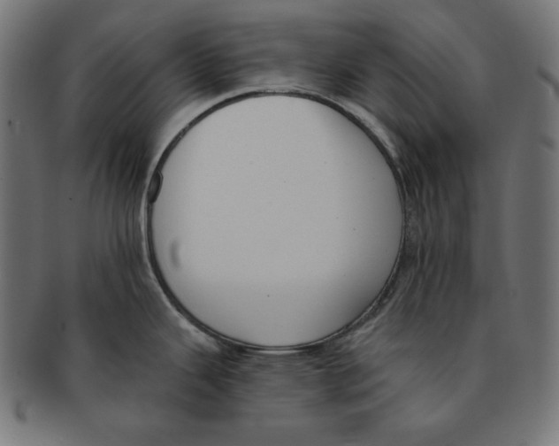 X0000091701343200709210914