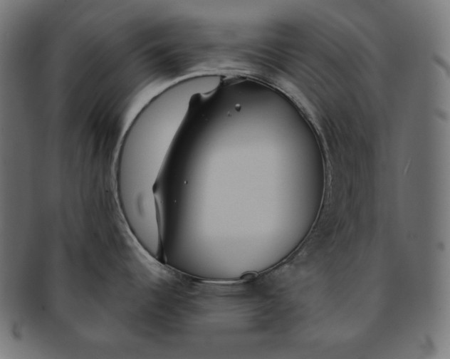 X0000091701344200709210914