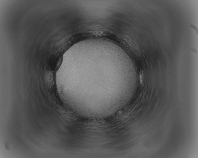 X0000091701347200709210914