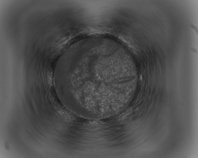 X0000091701348200709210913