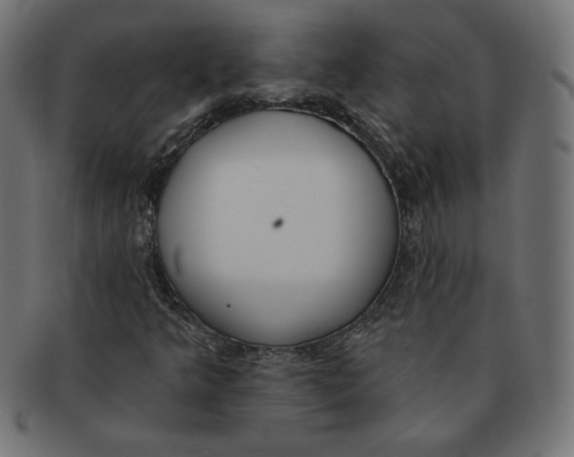 X0000091701349200709210913