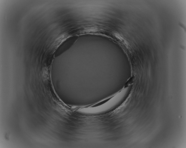 X0000091701353200709210913