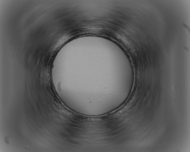 X0000091701354200709210913